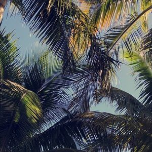 Meet your Posher, Ava